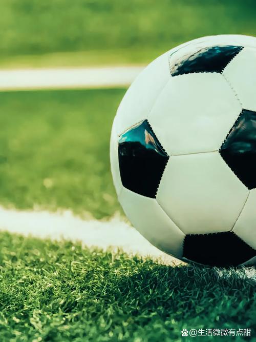 天天盈球app使用流程图