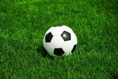 天天盈球预测分析界面