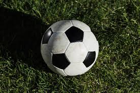 天天盈球app官网下载界面展示